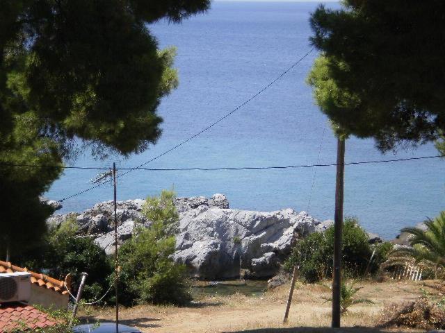Studios Rosa Agia Paraskevi Exterior foto