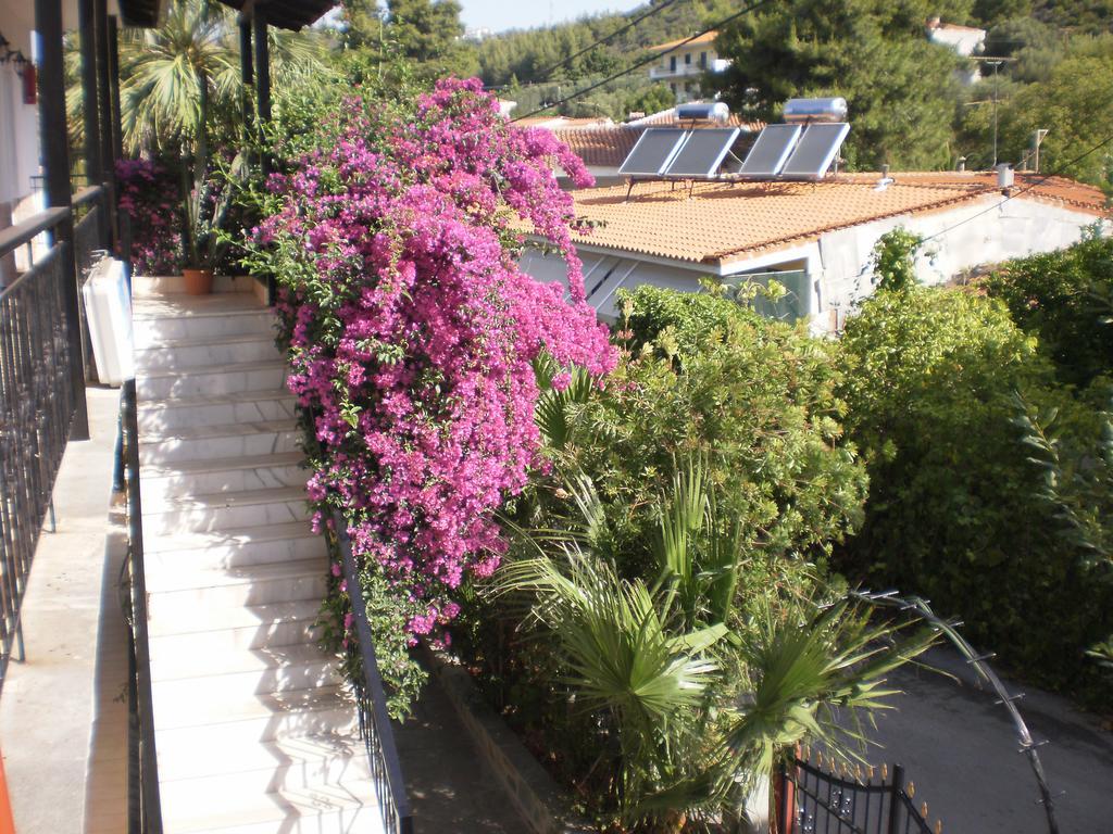 Studios Rosa Agia Paraskevi Exterior foto